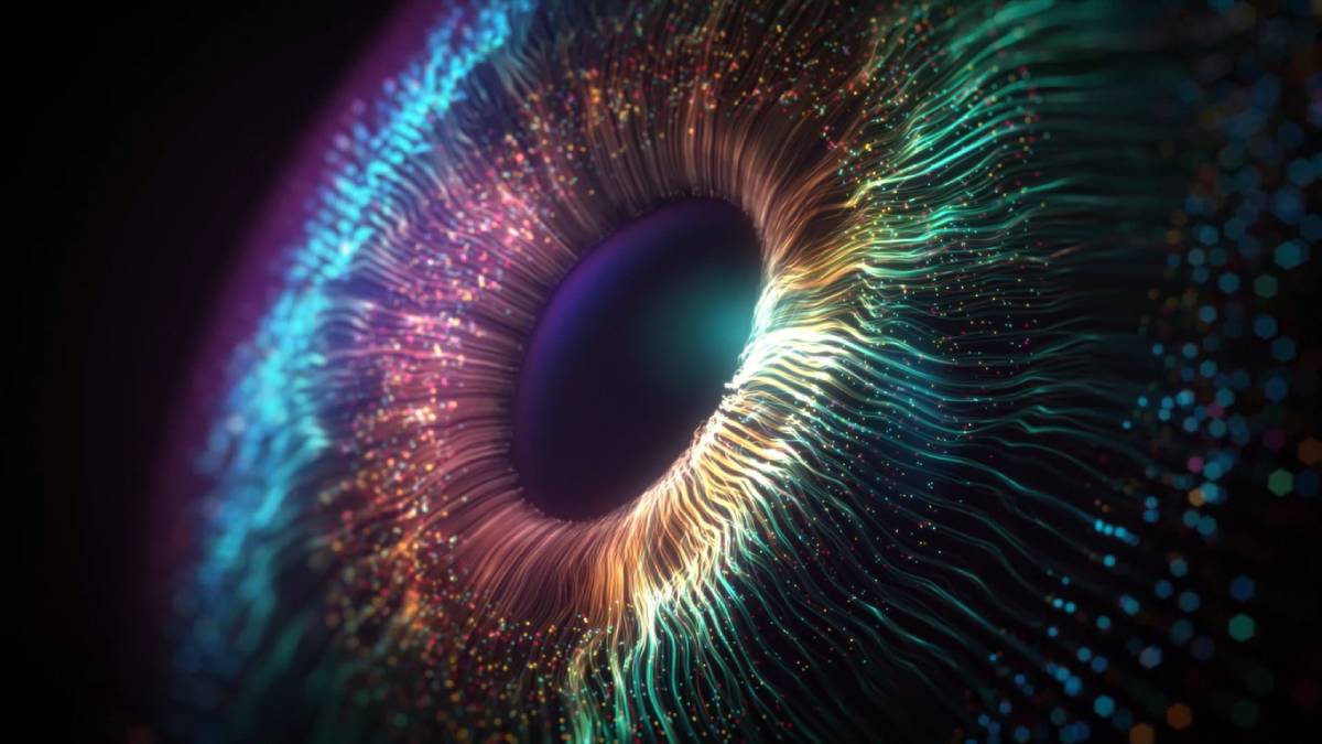 featured image for what is unique about the human eye